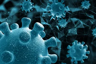 Живучесть вирусов: при каких условиях они сохраняют свою активность Живучесть вирусов: при каких условиях они сохраняют свою активность