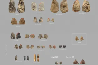 В Узбекистане найдены наконечники стрел возрастом 80 000 лет: они могли быть созданы неандертальцами В Узбекистане найдены наконечники стрел возрастом 80 000 лет: они могли быть созданы неандертальцами