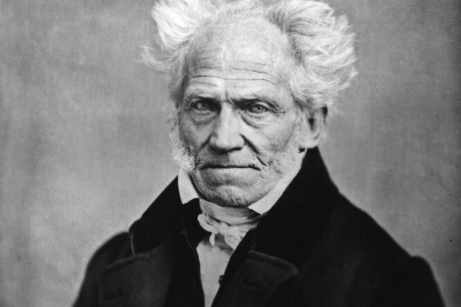 Как реагировать на обидные слова? Эта точная цитата Шопенгауэра научит вас, как вести себя с обидчиками