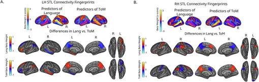 Веса признаков для областей, которые максимально различаются в разных языковых моделях и моделях теории ума.