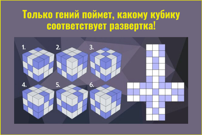 Головоломка на логику, которая по силам лишь обладателям IQ выше 125. Пройдите экспресс-тест на интеллект!