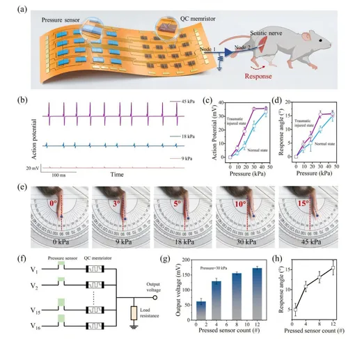 как работает искусственный рецептор