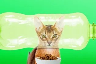 12 забавных и полезных самоделок для животных 12 забавных и полезных самоделок для животных