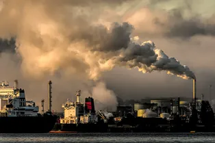 Загрязнение воздуха влияет на вашу производительность на работе! Ученые не стали скрывать правду