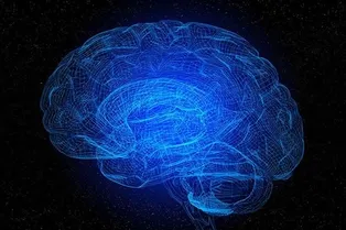 Тета-волны мозга сканируют зрительную рабочую память, как радар Тета-волны мозга сканируют зрительную рабочую память, как радар