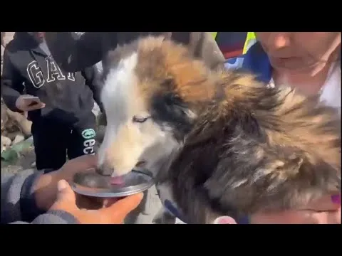 Нажми и смотри