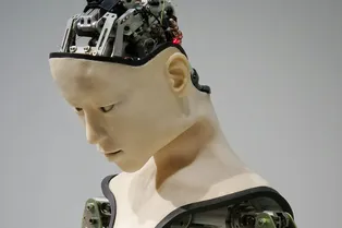 Почему популяризация гуманоидных роботов испортит общение людей Почему популяризация гуманоидных роботов испортит общение людей