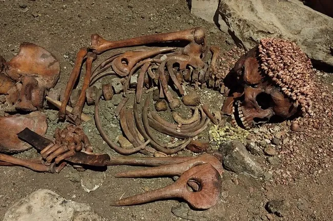 Подросток из пещеры: древнейшее свидетельство нападения медведя на человека