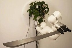 Роботизированная рука с мачете для комнатного растения и ИИ с лазером против тараканов: главные новости сегодня