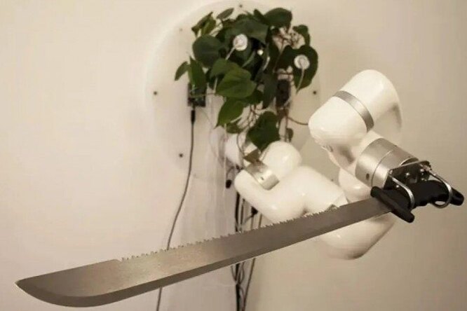 Роботизированная рука с мачете для комнатного растения и ИИ с лазером против тараканов: главные новости сегодня