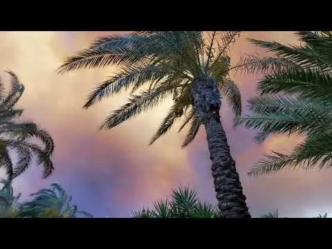 Нажми и смотри