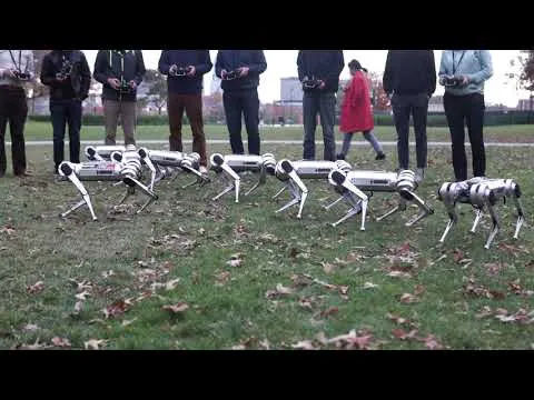 Нажми и смотри