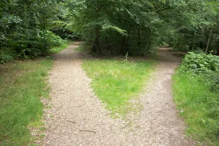 Какие рискованные решения люди принимают чаще всего Какие рискованные решения люди принимают чаще всего