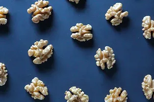 От билингвизма до хамелеонов: главные новости сегодня