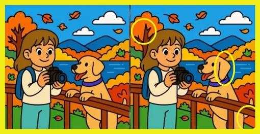 Ответ на головоломку Ответ на головоломку