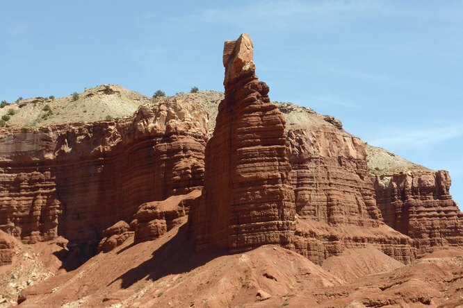 В США объявили награду за информацию о воре, укравшем следы рептилии триасового периода из Национального парка