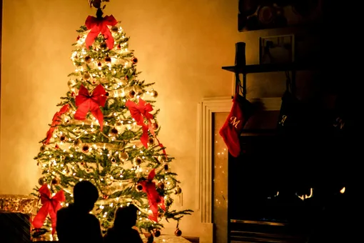 3 места в квартире, куда категорически нельзя ставить елку 3 места в квартире, куда категорически нельзя ставить елку