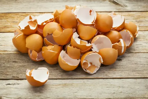 Яичная скорлупа может стать следующим материалом для костного трансплантата Яичная скорлупа может стать следующим материалом для костного трансплантата