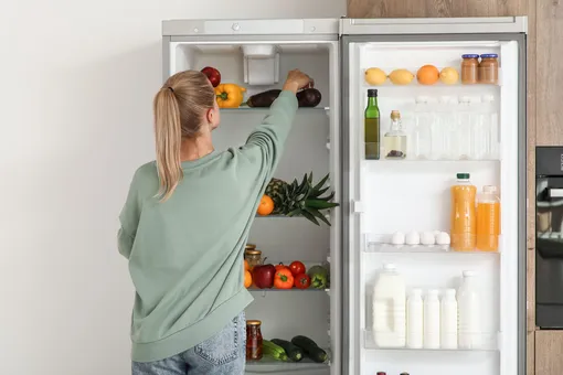 Путь к созданию холодильника был тернистым, но довольно интересным.