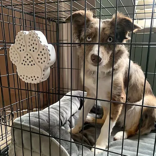 rescue retriever device