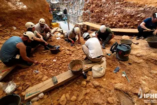 Древние каннибалы Европы: Homo antecessor поедал не только детей, но и взрослых Древние каннибалы Европы: Homo antecessor поедал не только детей, но и взрослых