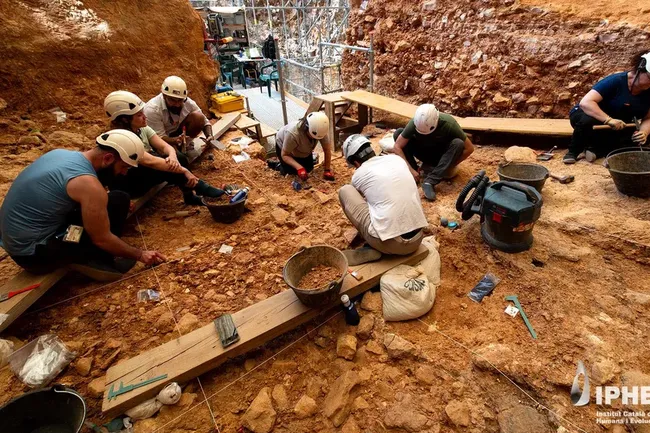 Древние каннибалы Европы: Homo antecessor поедал не только детей, но и взрослых