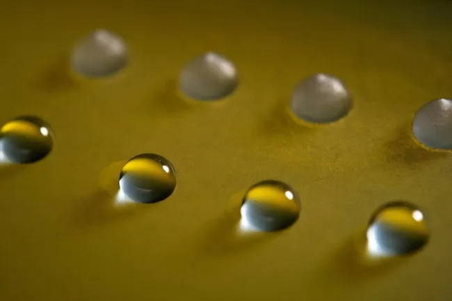 Ученые описали удивительные грибки, способные замораживать воду