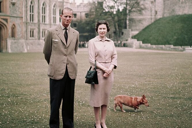 14 любопытных фактов о королеве Елизавете II, которых вы скорее всего не знали: коллекция корги и езда без прав