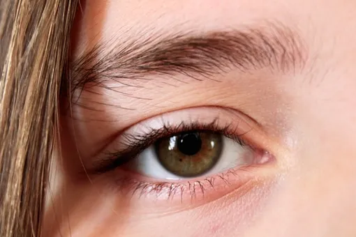 глаз