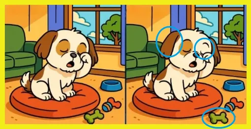 Ответ на головоломку