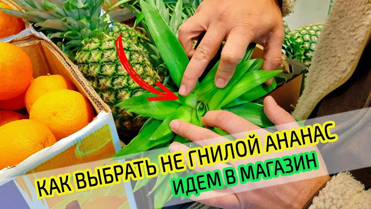 Нажми и смотри