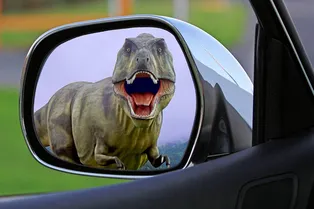 Доехать своими колесами или вызвать эвакуатор: хорошо ли вы помните ПДД Доехать своими колесами или вызвать эвакуатор: хорошо ли вы помните ПДД