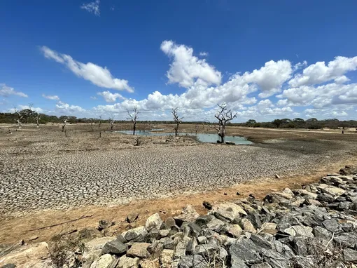 Высыхают озера и реки. Шри-Ланка.