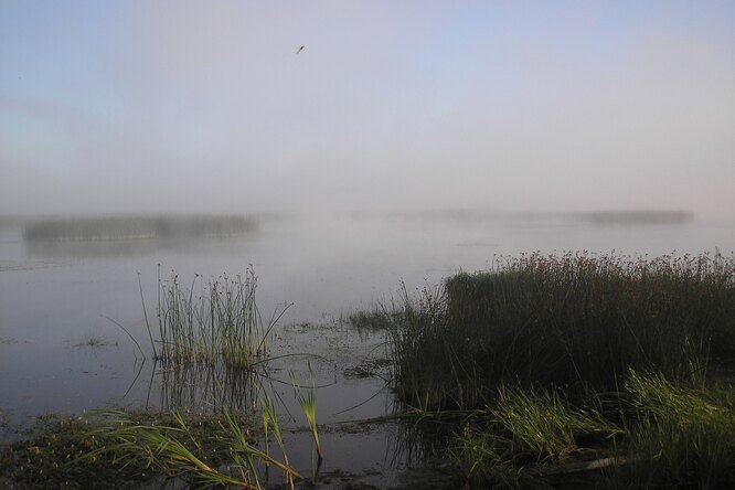 В водах реки Камы в Пермском крае исследователи обнаружили старинное ...