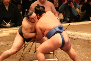 Связь с богами и древние традиции сумо! Узнайте интересные факты про необычный спорт Японии