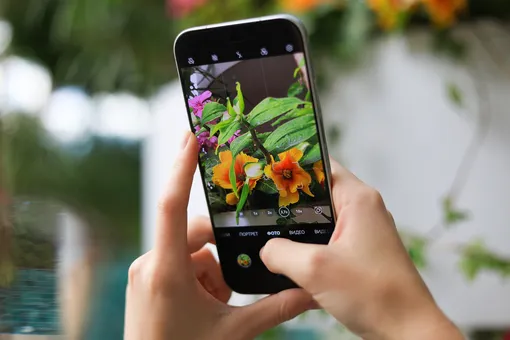 Камера Huawei nova 16s Pro