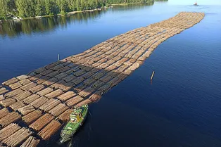 Ученые предложили засыпать Северный Ледовитый океан бревнами, чтобы остановить изменение климата