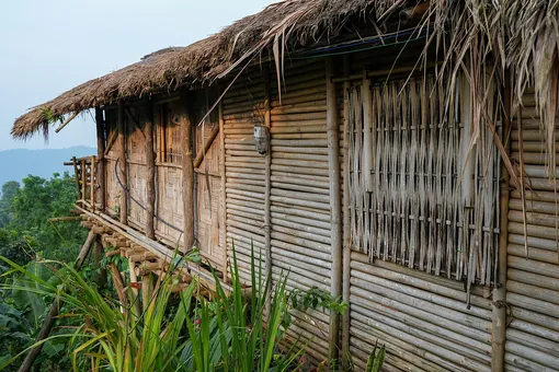Бамбук — популярный строительный материал в азиатских странах
