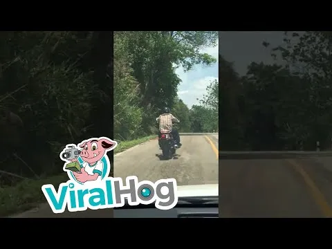 Нажми и смотри
