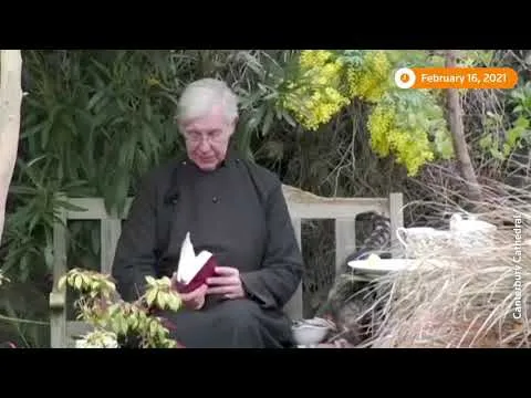 Нажми и смотри