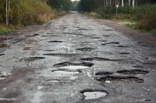 Бактерии помогут сделать автодороги лучше