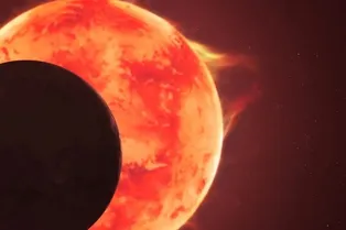 Какая экзопланета в системе TRAPPIST-1 может быть пригодной для жизни