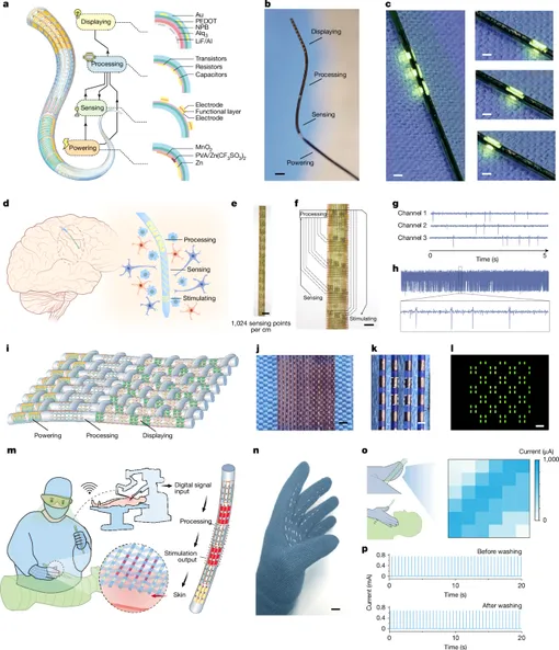 гибкий микропроцессор сферы применения