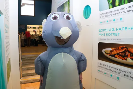 крыса костюм крысы фото надувной костюм лекторий техинсайдера крыса костюм крысы фото надувной костюм лекторий техинсайдера