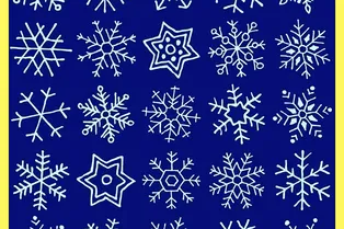 Только обладатели высокого IQ могут за 11 секунд найти одинаковые снежинки: проверьте свой уровень интеллекта