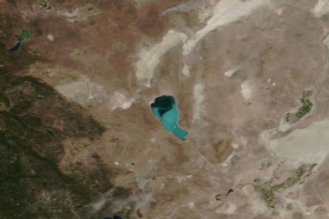 Ядовитые водоросли окрасили озеро в необычный цвет Ядовитые водоросли окрасили озеро в необычный цвет