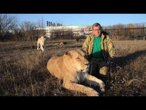 Нажми и смотри