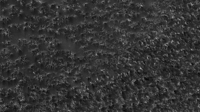 Marsın En Sevimli Krateri: Keşif Aracı bir AYI Görüntüsü Yakaladı