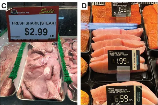 В супермаркетах США нашли мясо исчезающих акул всего за 2,99 доллара В супермаркетах США нашли мясо исчезающих акул всего за 2,99 доллара