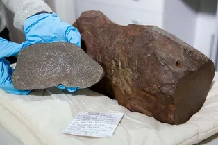 Мужчина хранил древний метеорит, думая, что это камень с золотом! Интересная история